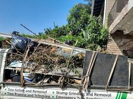 Best Electronics and E-Waste Disposal  in Carlinvle, IL